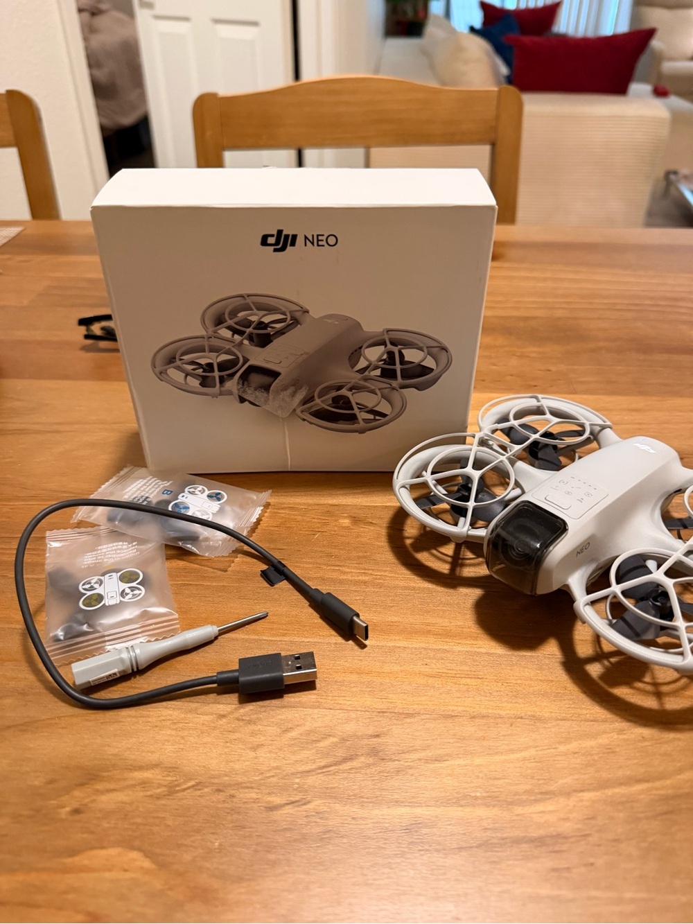 DJI NEO Drone